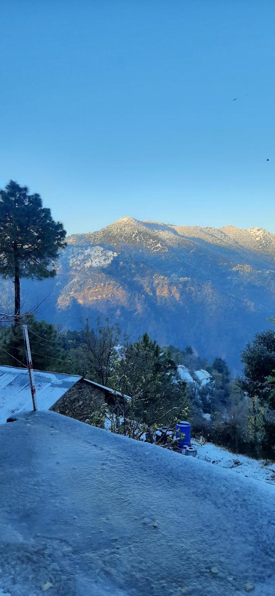 Sejal Homestay Shimla Exterior photo